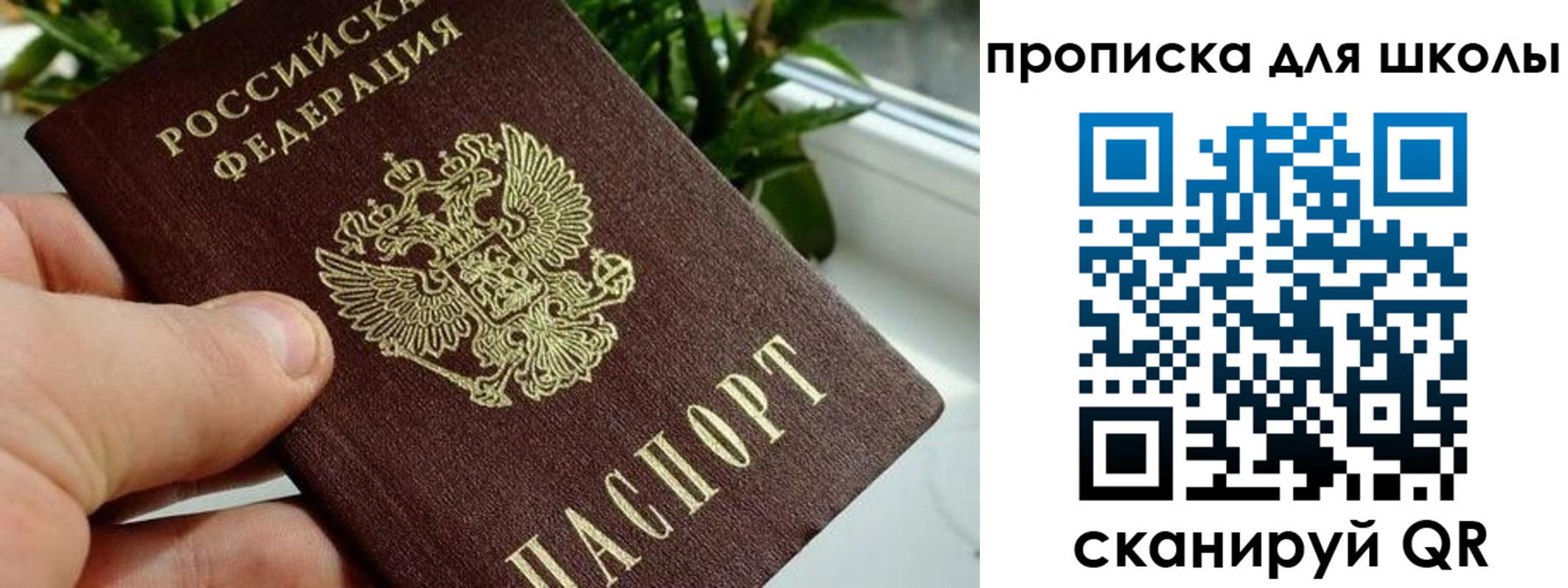 регистрация для дет. сада в Камчатском крае